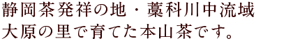 当園のお茶は山のお茶です。藁科川上流の大原の里のお茶です。